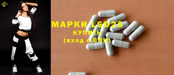 ПСИЛОЦИБИНОВЫЕ ГРИБЫ Абаза